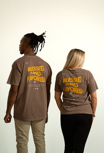 Blessed and Favored shirt